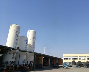 工業氣體-工業氣體-安徽南環(推薦商家)